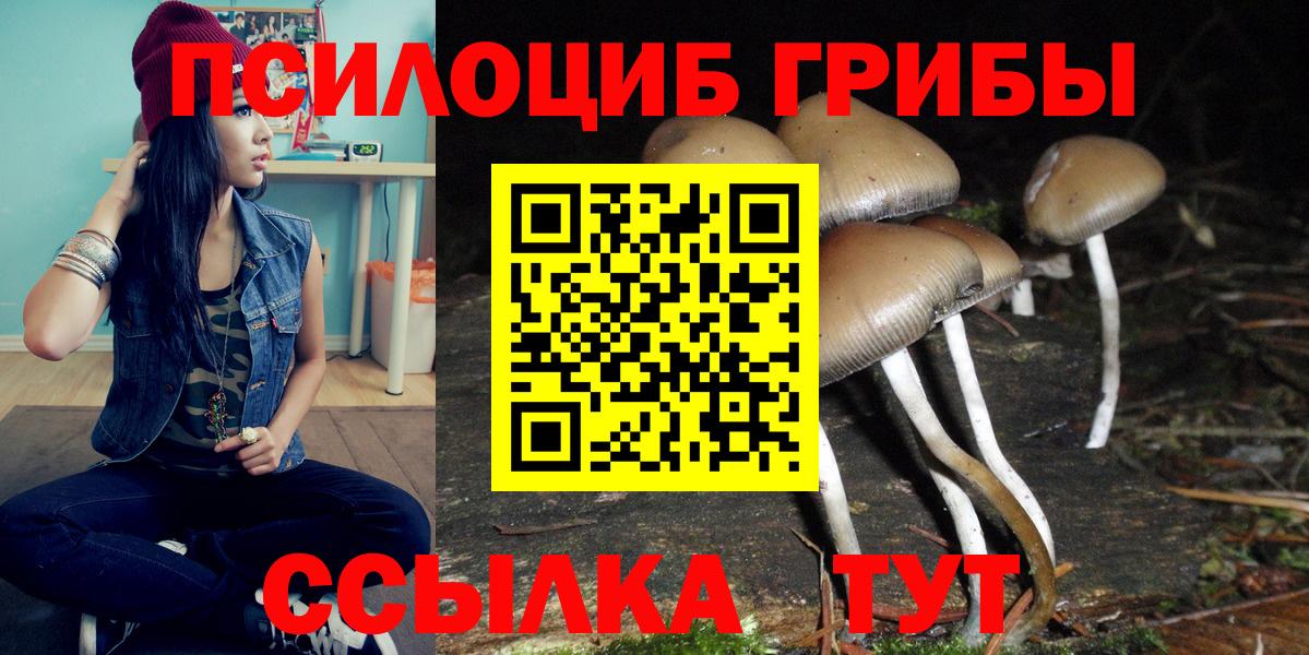 Галлюциногенные грибы Psilocybine cubensis Сунжа